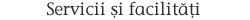 Vila Ambient - Servicii si facilitati Vila Ambient - Servicii si facilitati